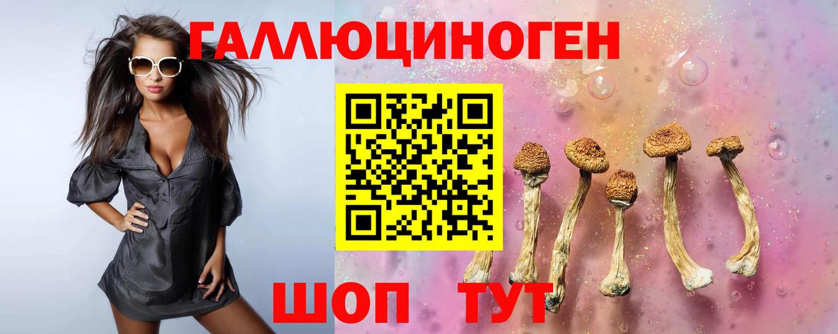 Щёлково  Псилоцибиновые грибы GOLDEN TEACHER  Вход с VPN 